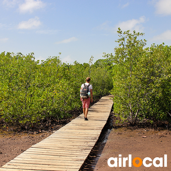 Sortie nature martinique