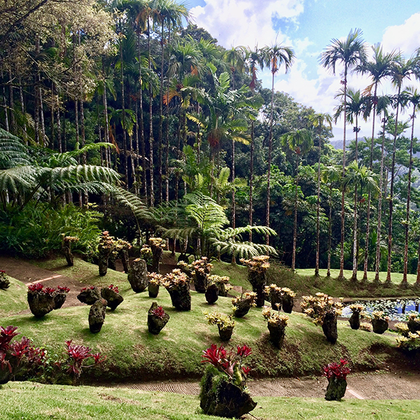 Jardin botanique martinique