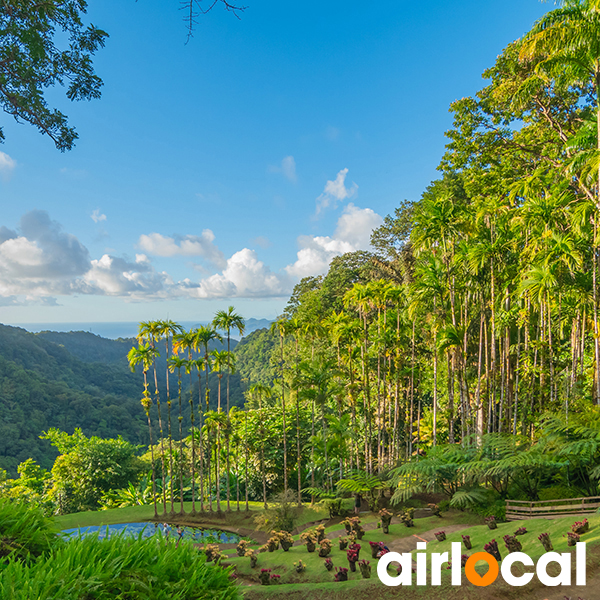 Parc national martinique