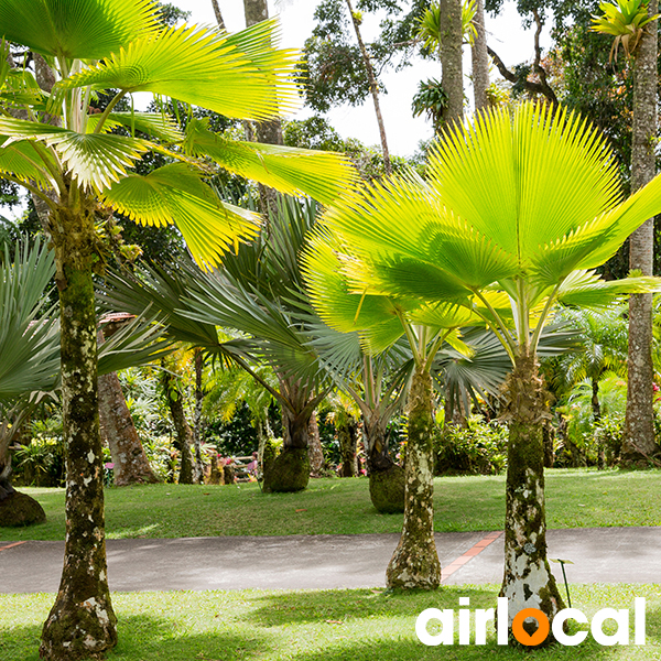 Parc national martinique