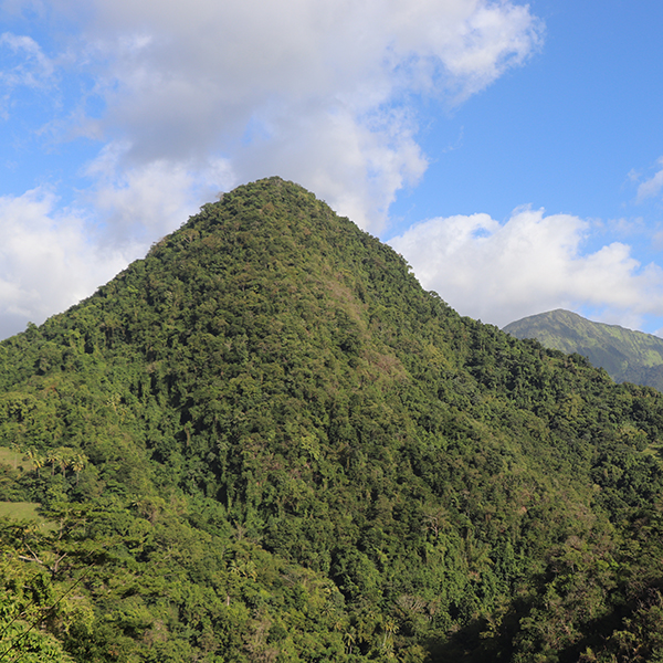 Sortie nature martinique