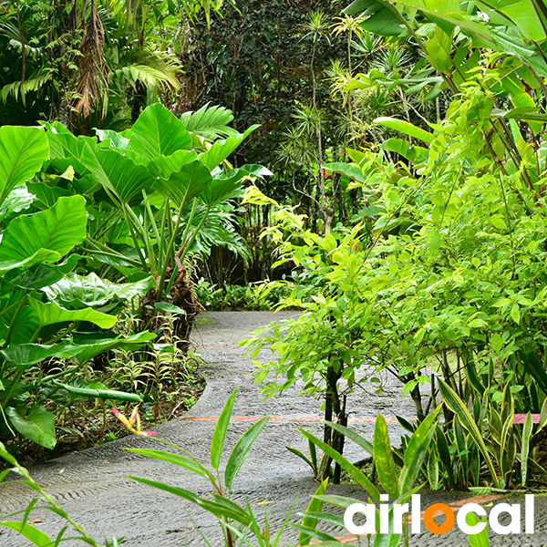 Parc national martinique