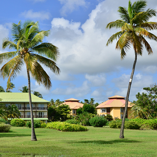 Parc national martinique