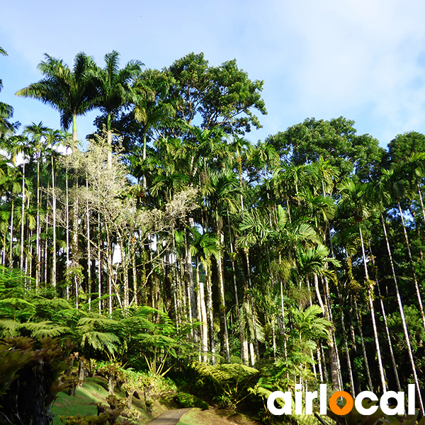 Parc national martinique