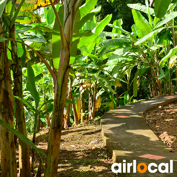 Jardin botanique martinique