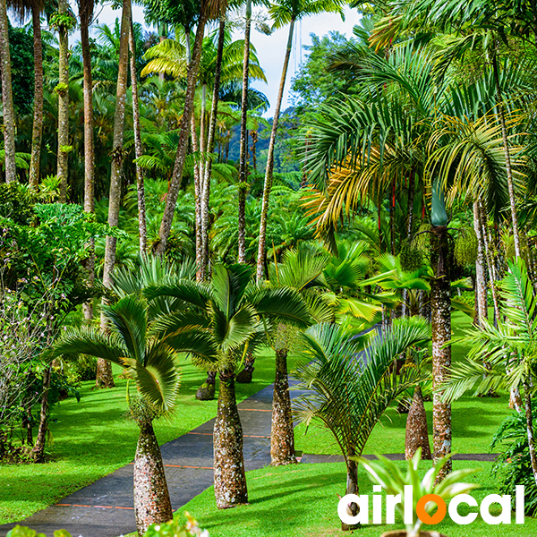 Parc national martinique