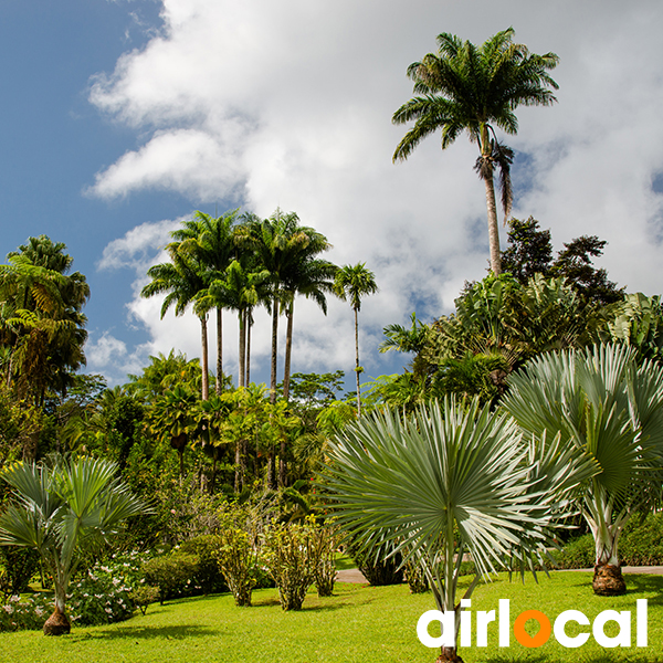 Jardin botanique martinique