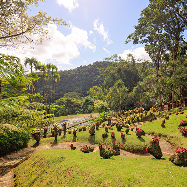 Jardin botanique martinique