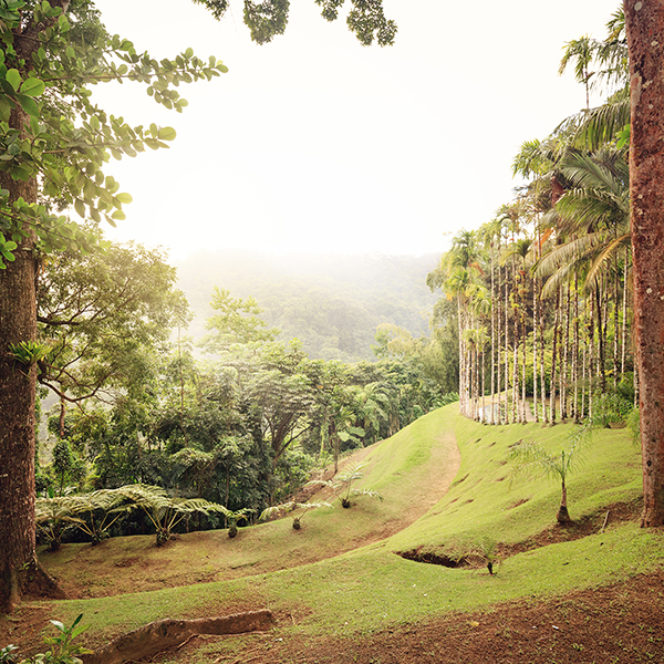 Parc national martinique