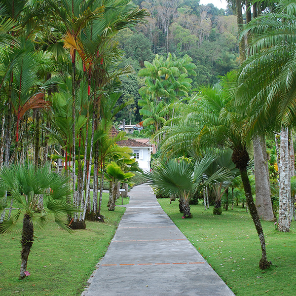 Jardin botanique martinique