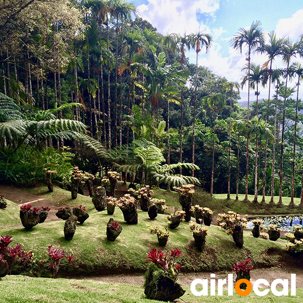 Jardin botanique martinique