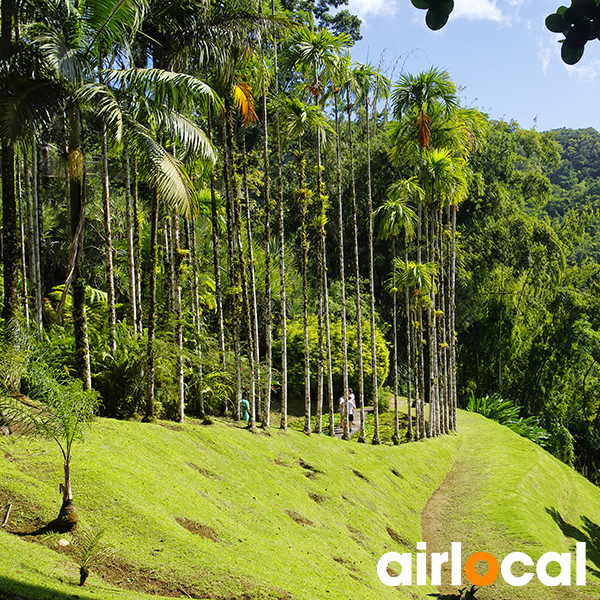 Parc national martinique