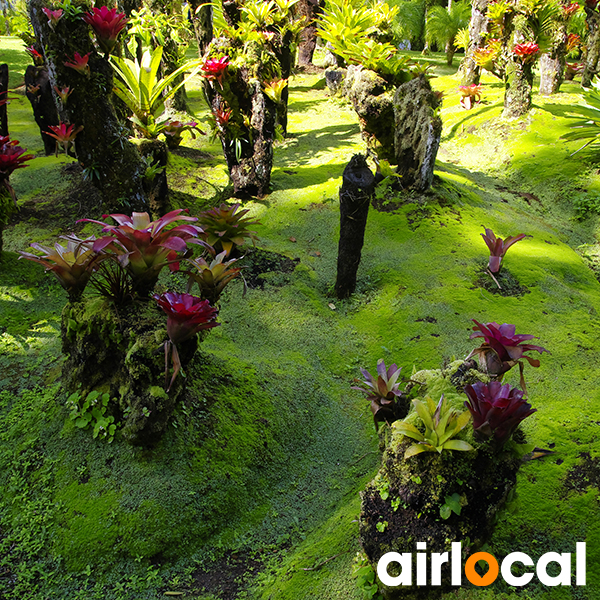 Jardin botanique martinique