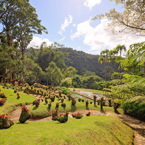 Jardin botanique martinique