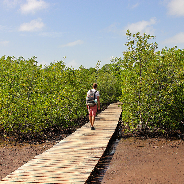 Parc national martinique