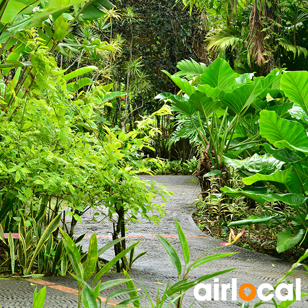 Jardin botanique martinique