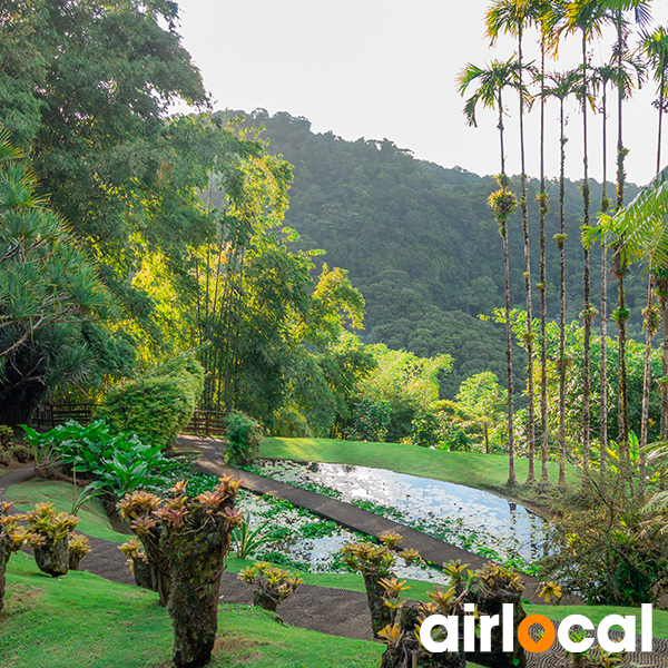 Jardin botanique martinique