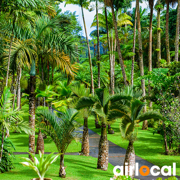 Jardin botanique martinique