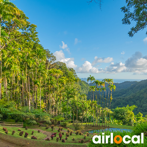 Parc national martinique