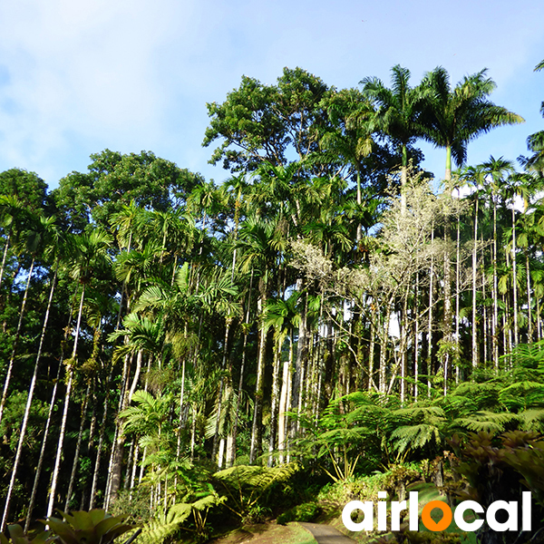 Parc national martinique