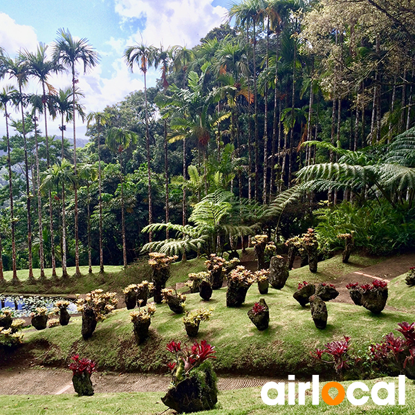 Jardin botanique martinique