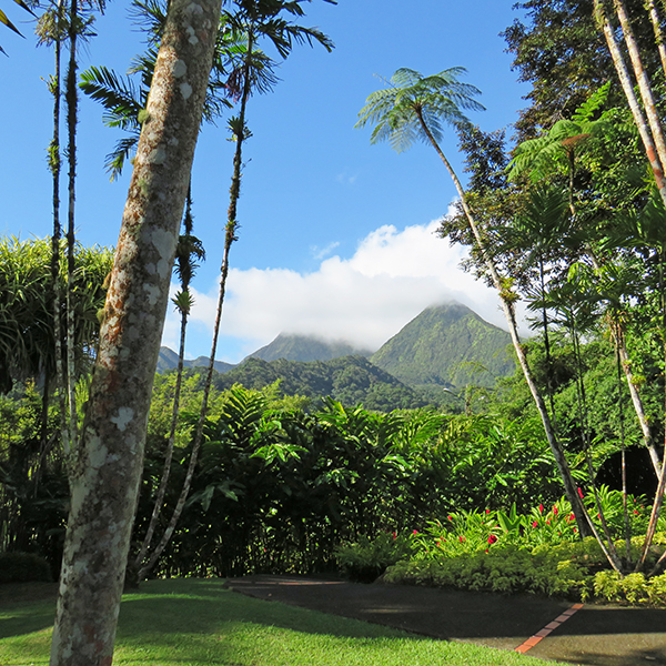 Parc national martinique