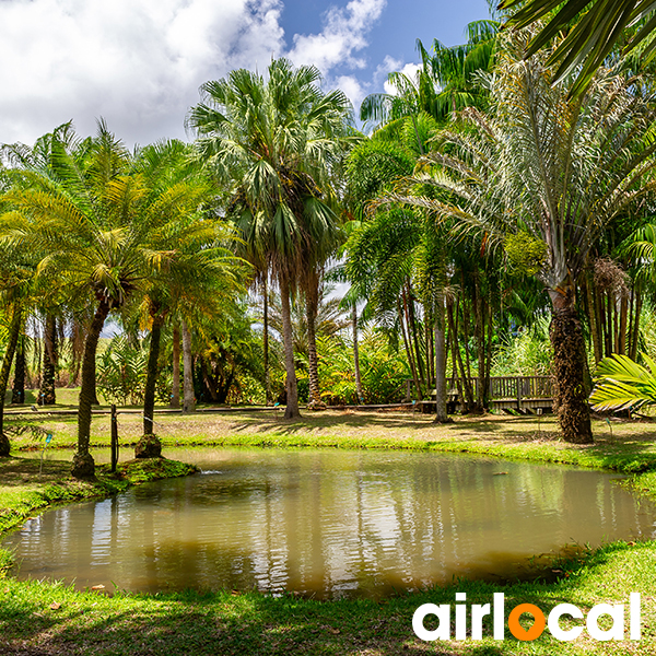 Parc national martinique