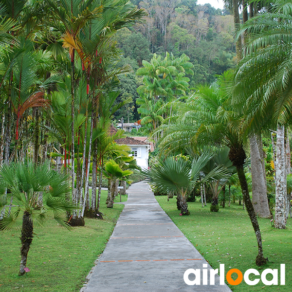 Jardin botanique martinique