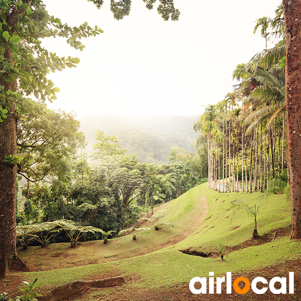 Parc national martinique