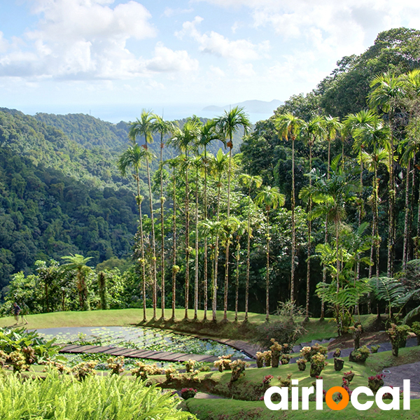 Parc national martinique