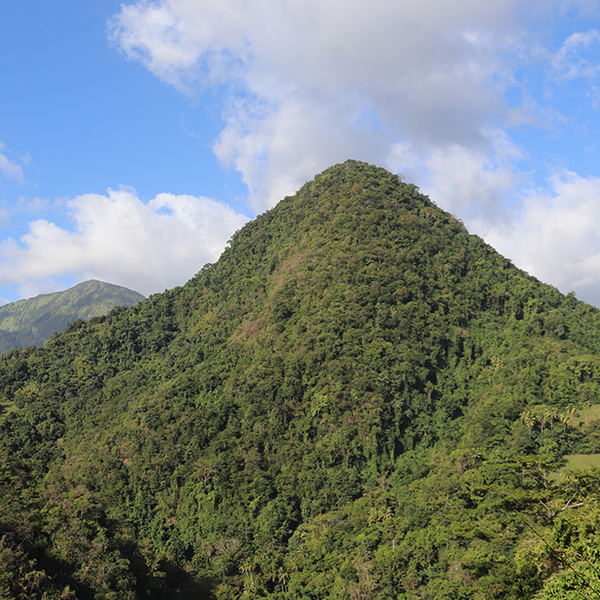 Parc national martinique