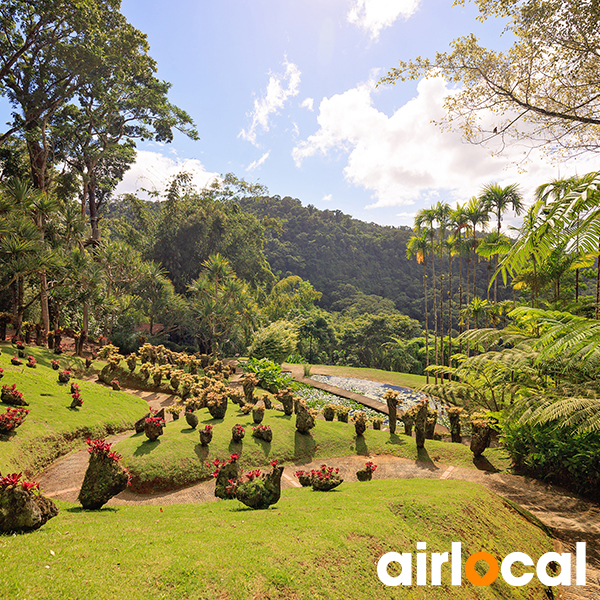 Jardin botanique martinique