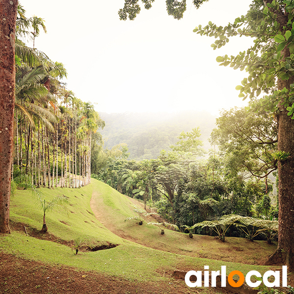 Parc national martinique