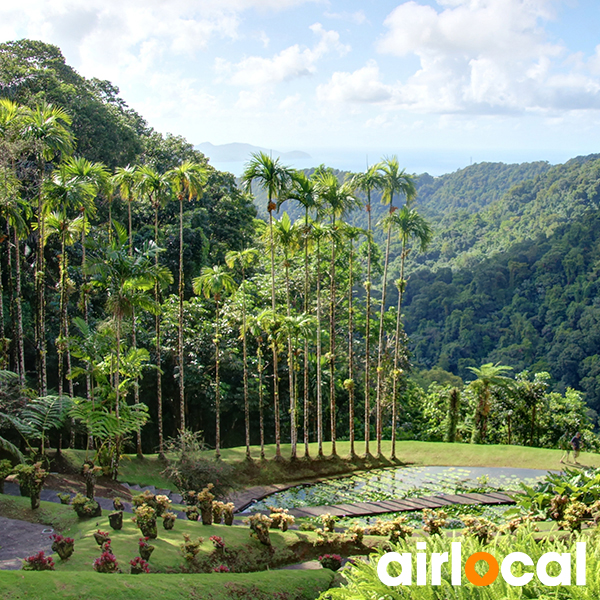 Parc national martinique