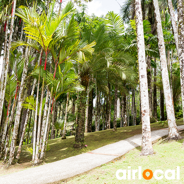 Jardin botanique martinique