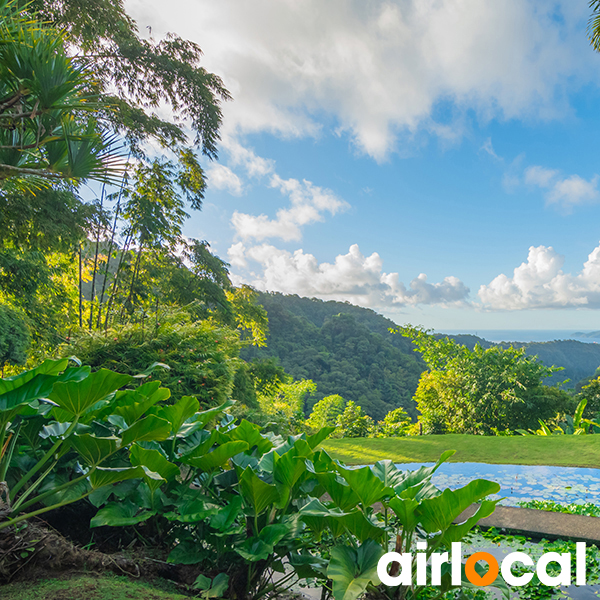 Jardin botanique martinique