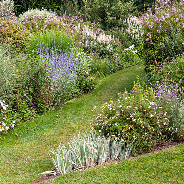 Jardinier martinique