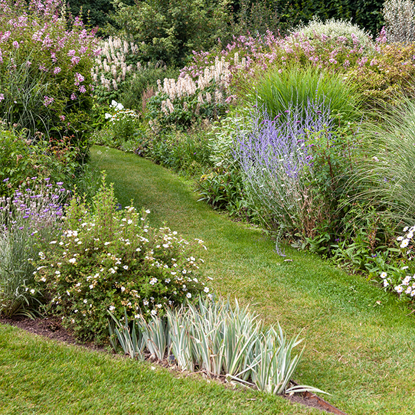 Jardinier martinique