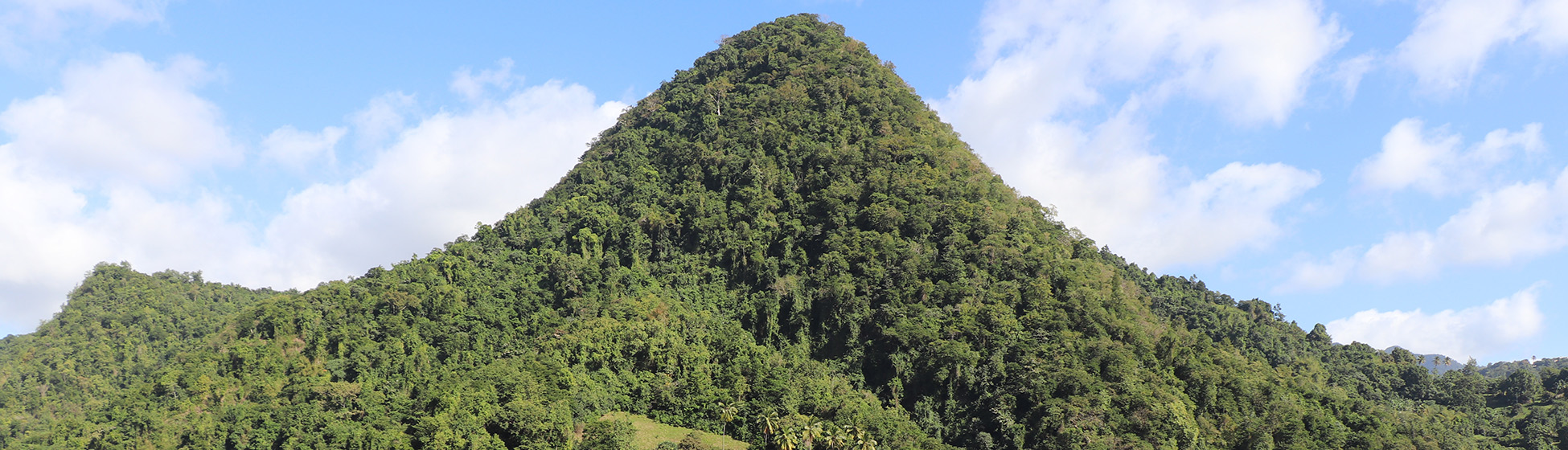 Meilleures randonnées martinique