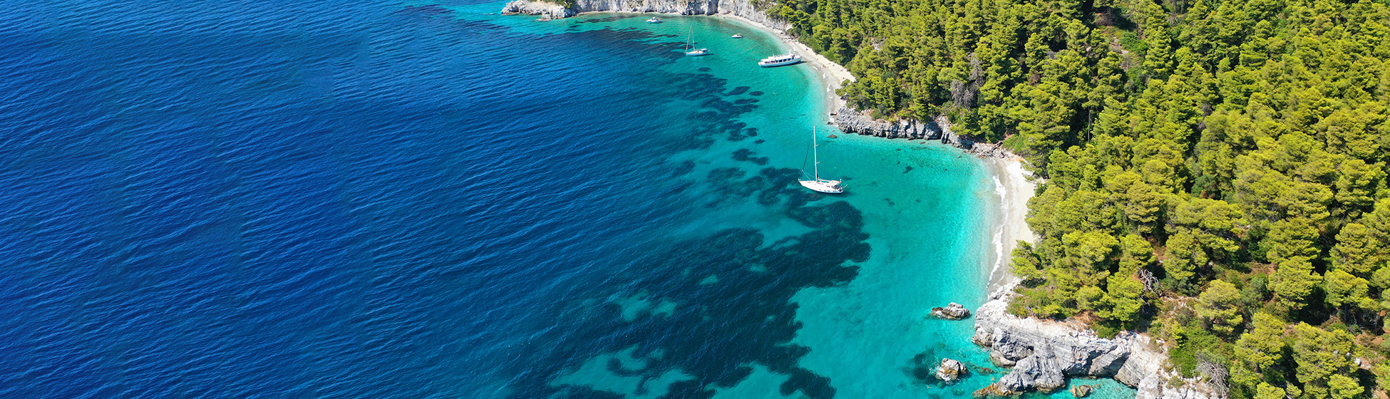 Bon plan visite martinique