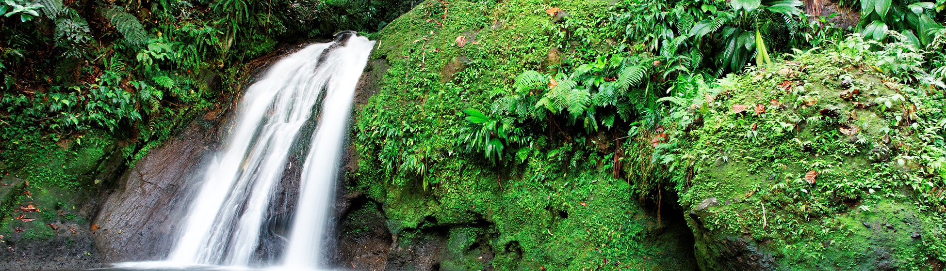 Bon plan martinique pas cher