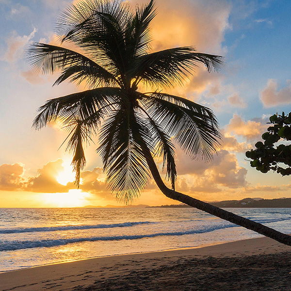 Ville antilles françaises