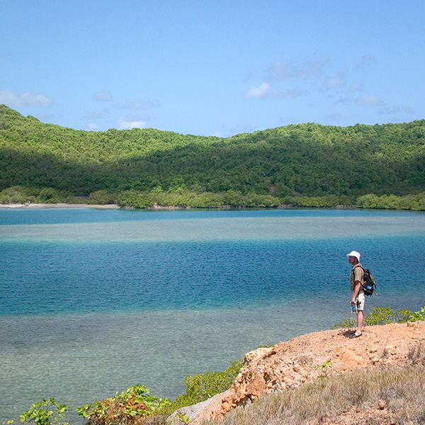 Dernière minute antilles françaises