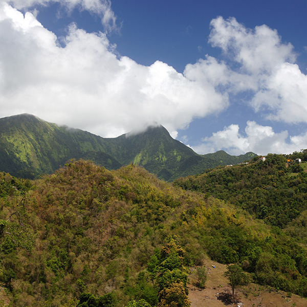 Location de voilier aux antilles