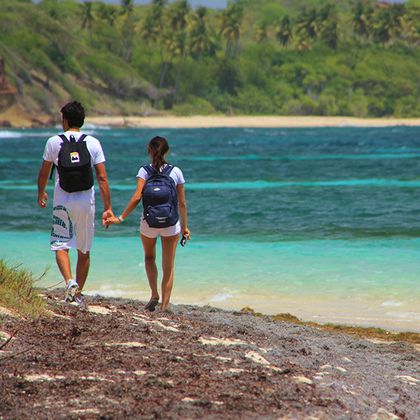 Ou se situe les antilles françaises