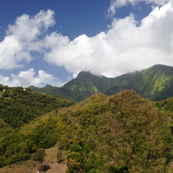 Vol pour les antilles pas cher