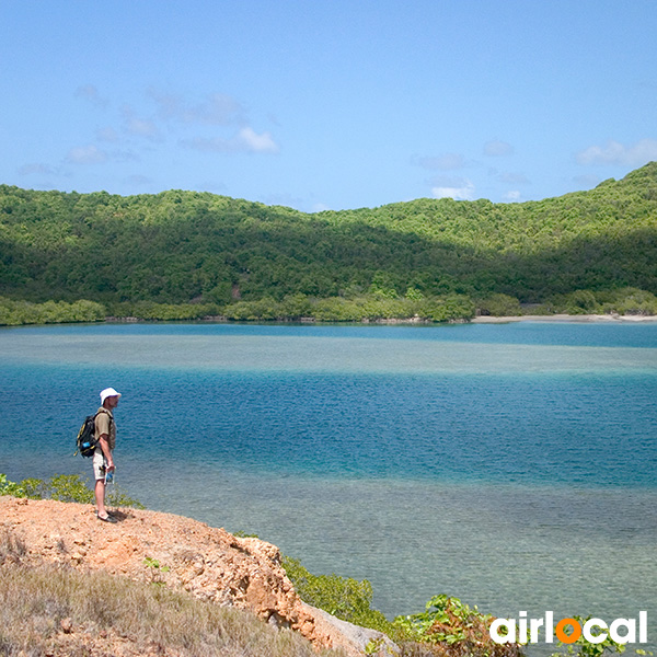 Antilles location voiture