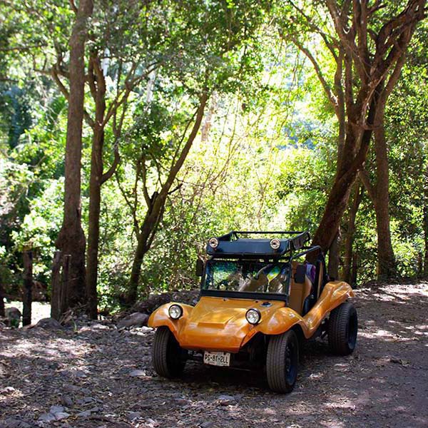 Rando buggy martinique