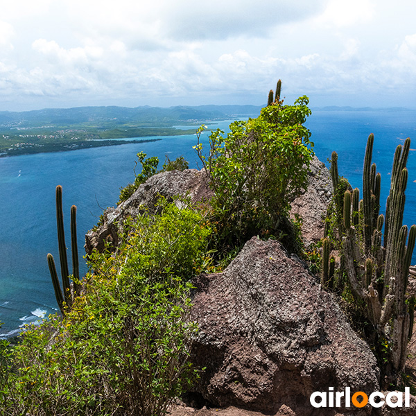 Meilleures randonnées martinique