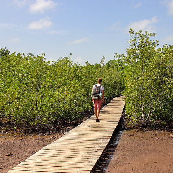 Randonnée rivière martinique